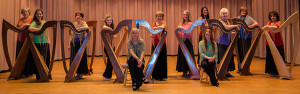 BrandywineHarp2014