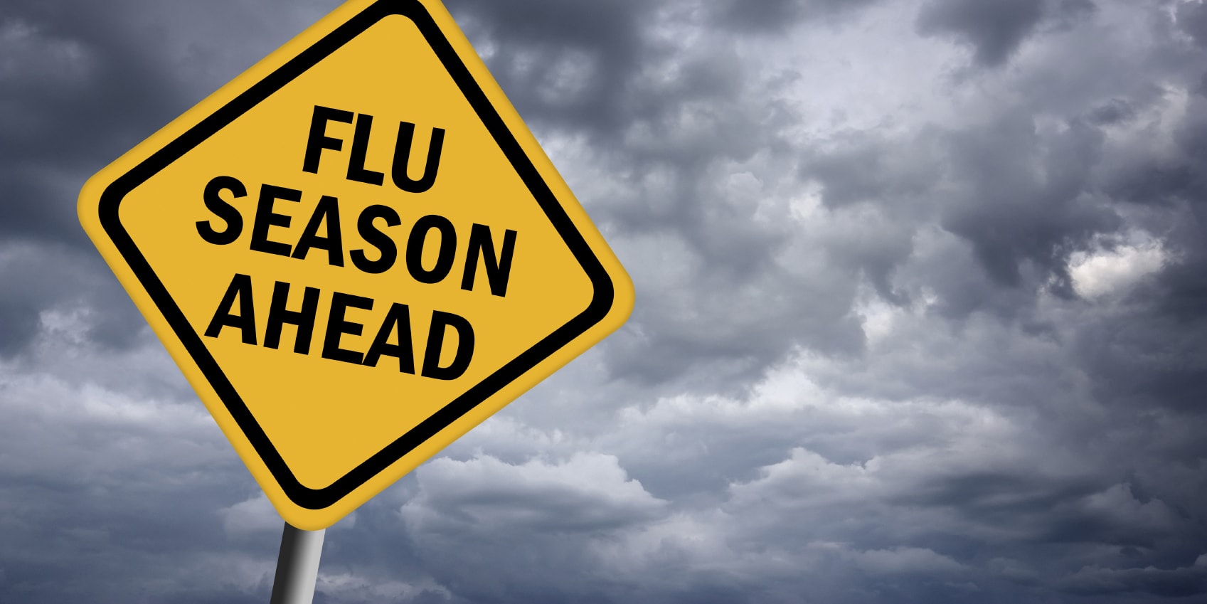 Flu Prevention