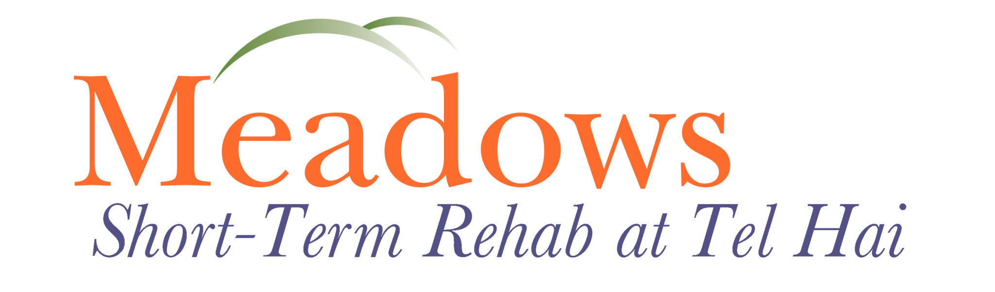 Meadows Short Term Rehab Services